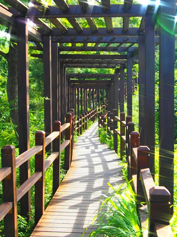 大坑10號步道